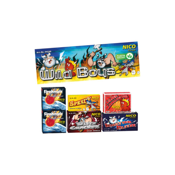 Nico Wild Boys